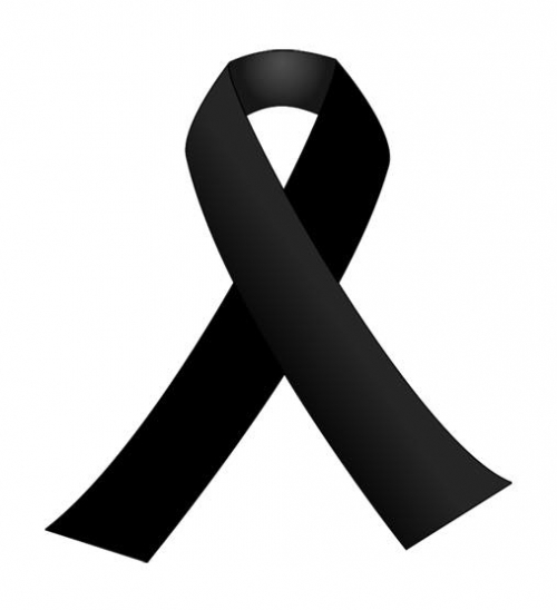 TER&Ouml;R&Uuml; LANETLİYORUZ!